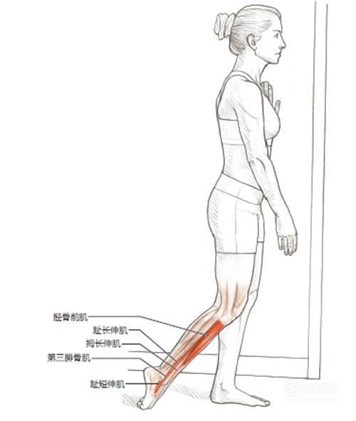哪里能找到一对一的篮球训练指导_1